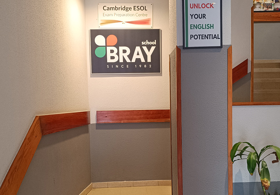 escalera bray school